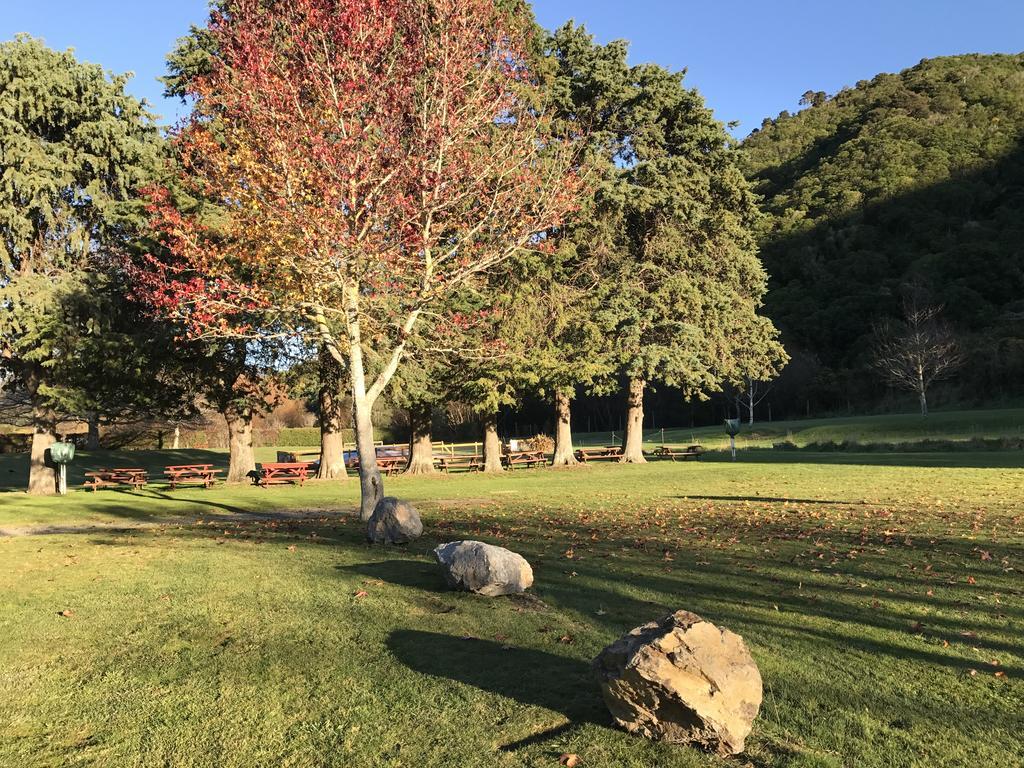 Parklands Marina Holiday Park Picton Eksteriør bilde